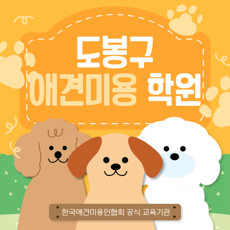  도봉구애견미용학원 , 실력으로 승부하는 실무교육