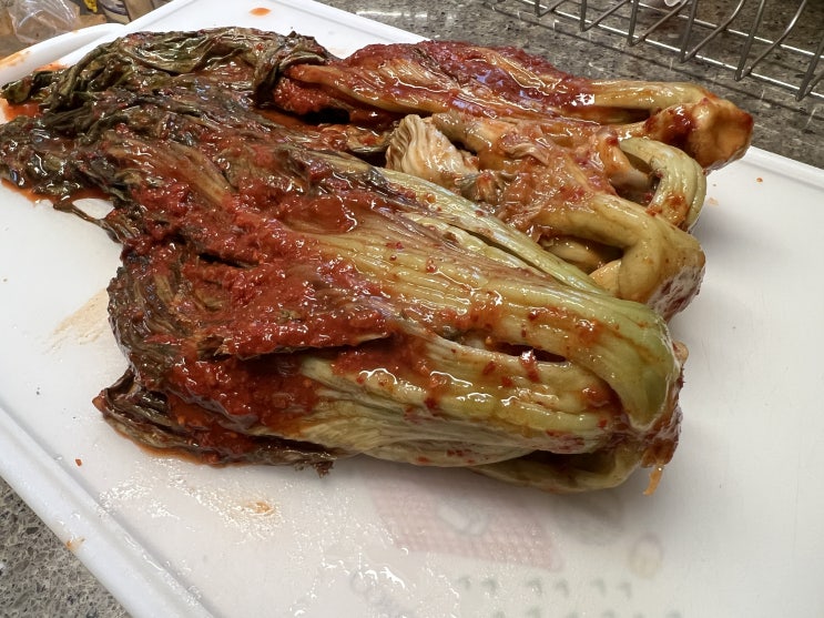  입맛 없을 때 딱! 해천 우리집 갓김치 5kg, 쌍둥이 아빠의 솔직 후기