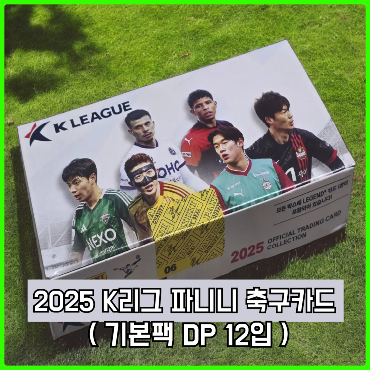 2025 K리그 파니니 축구카드 기본팩(DP 12입) 카드 후기