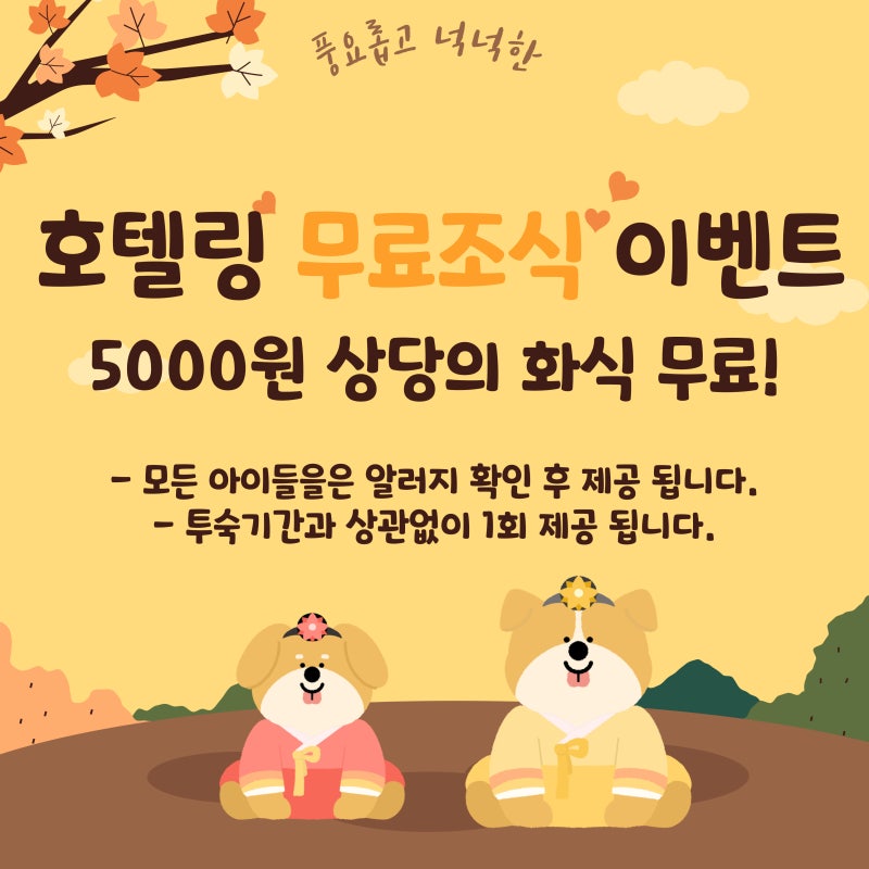 사진 9