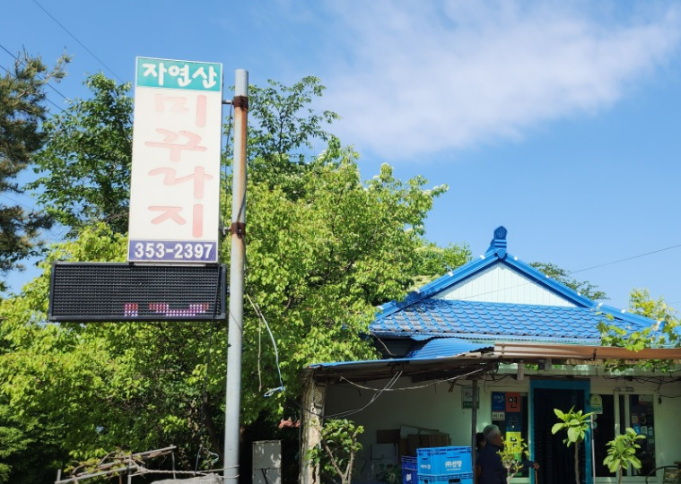 자연산미꾸라지 사진 5