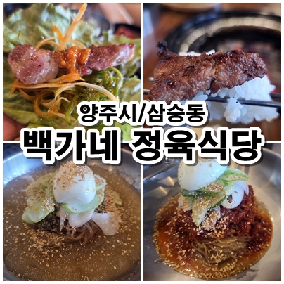  양주시 고깃집 백가네정육식당 가족모임과 회식에 좋은 곳