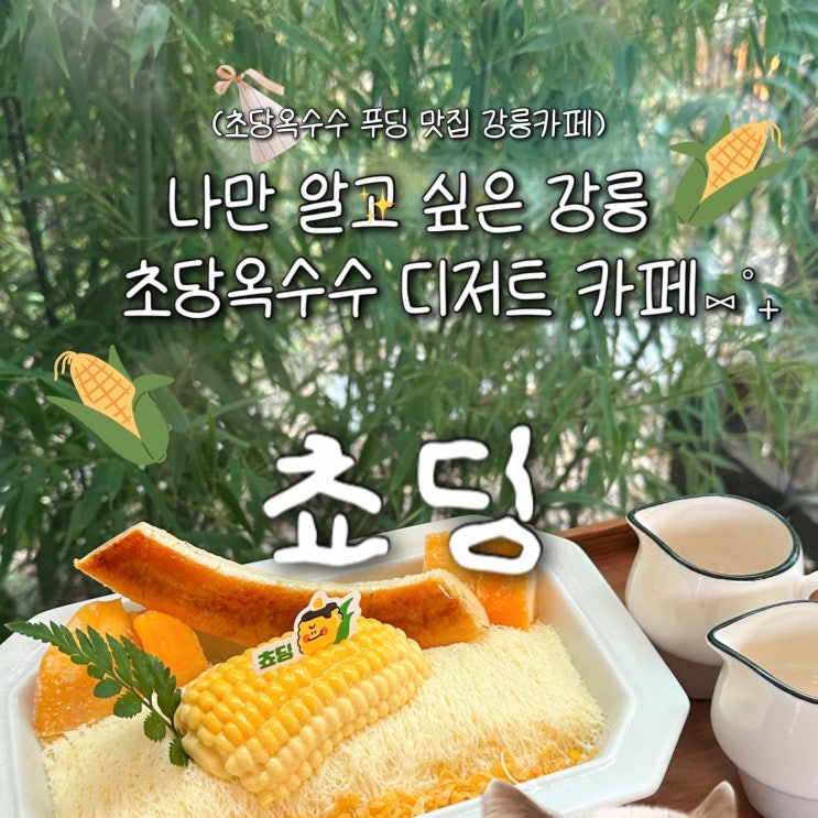  강릉 새롭게 오픈한 귀여운 디저트 신상 카페 초당옥수수 푸딩 카페 '쵸딩'