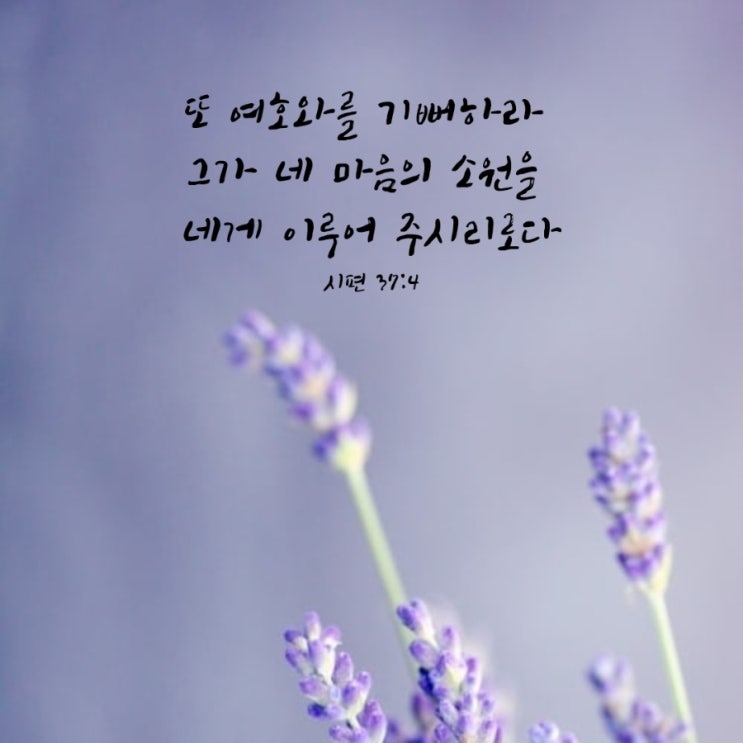  시편 37절 4절 말씀 묵상/ 마음의 소원을 이루시는 하나님
