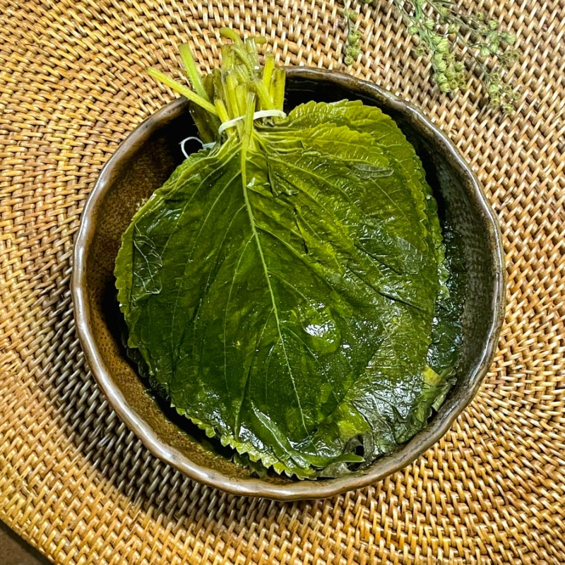 깻잎삭히기 소금물 농도 깻잎 삭히는법