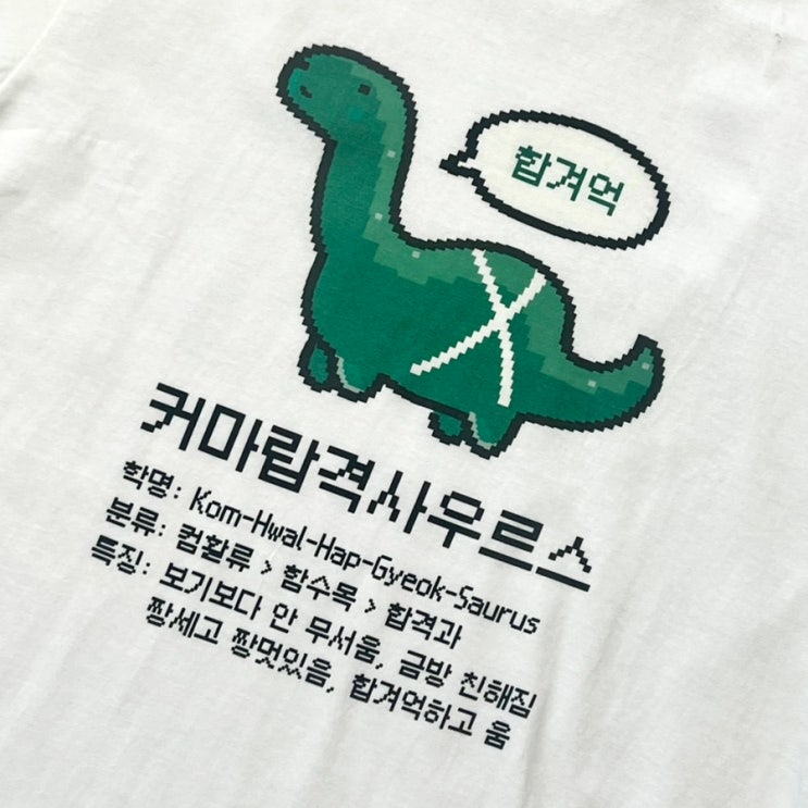  시나공 커마랍격사우르스 컴활 2급 필기&티셔츠 패키지 : 컴활 2급 필기 독학 교재 추천