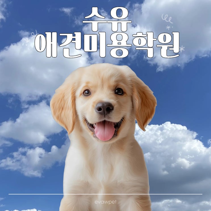 수유애견미용학원 에서 배우는  강아지영양제 와 강아지양치·강아지위생미용 노하우