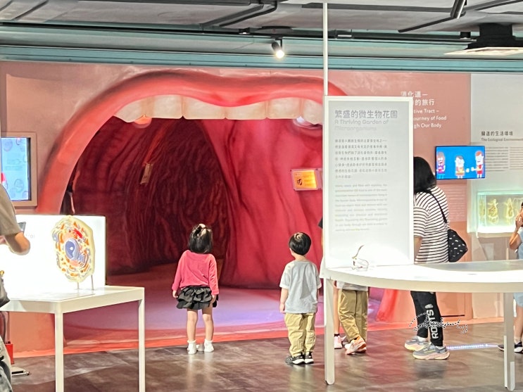  대만 타이베이 여행. 어른이, 어린이를 위한 국립 대만 과학교육관(National Taiwan Science Education Center)