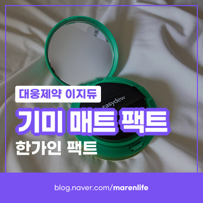 SNS 사은품 보고 구매한 대웅제약 이지듀 기미 매트 팩트 (21호 내추럴)