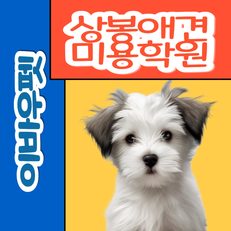  상봉애견미용학원, 이바우펫 아니면 손해?