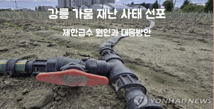 <b>강릉 가뭄</b> 재난 사태 선포 제한<b>급수</b> 원인과 대응방안