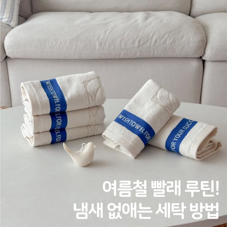  생활필수팁! 여름철 빨래 냄새 없애는 세탁 꿀팁 모음