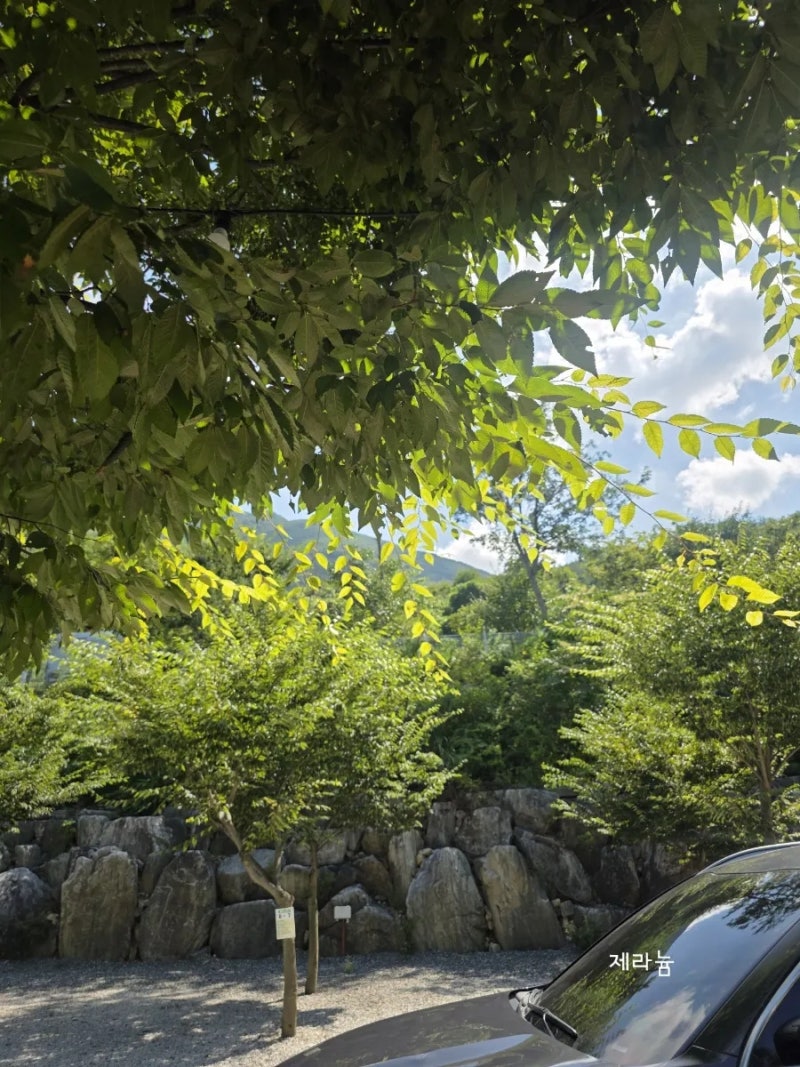 사진 5