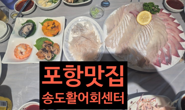  포항 맛집 횟집 추천 - 포항수협 송도 활어회센터 모듬회 내돈내산