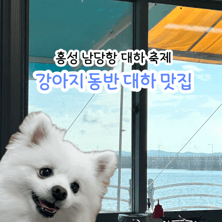  홍성 남당항 애견 동반 식당 대하 맛집 바다나라