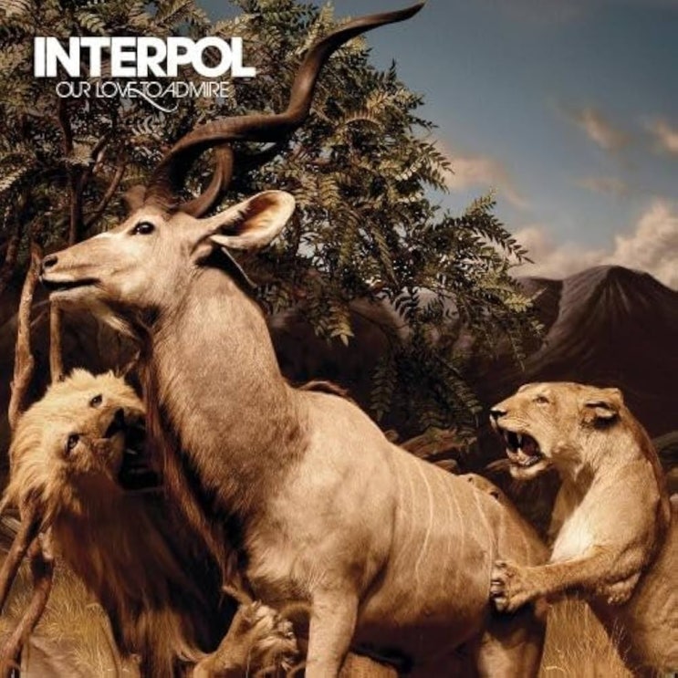  Interpol - No I In Threesome 듣기/가사/번역