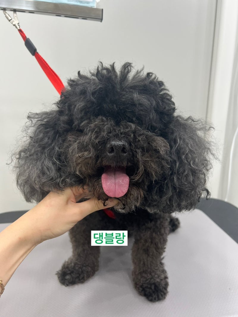 사진 6