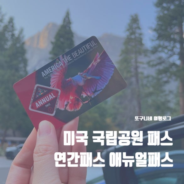  미국 국립공원 패스 연간패스 애뉴얼패스 총정리! 가격 구매 방법 유효기간 사용 인원 (2025년 최신 ver.)