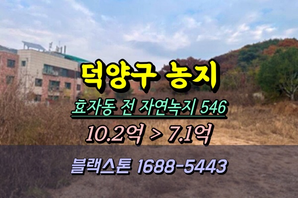  덕양구 효자동 토지 경매 농지 500평대 [2024타경84324]