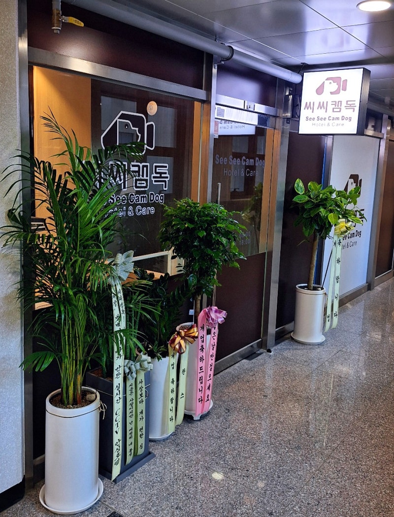 사진 3