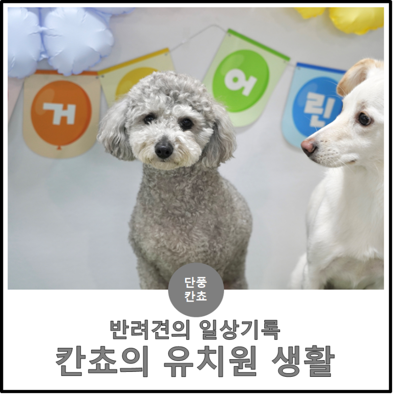 사진 5