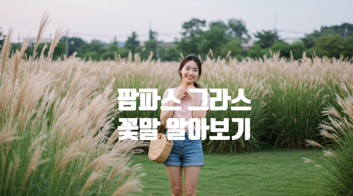  팜파스 그라스(Pampas Grass) 관리 방법 꽃말 바람을 닮은 식물 인테리어 아이템