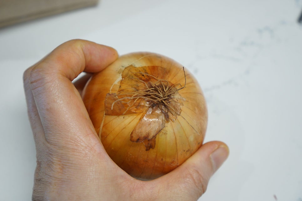 샘골 사진 6