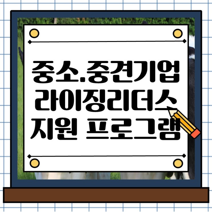  중소 중견기업 라이징 리더스 정부 정책자금 금융 지원 프로그램