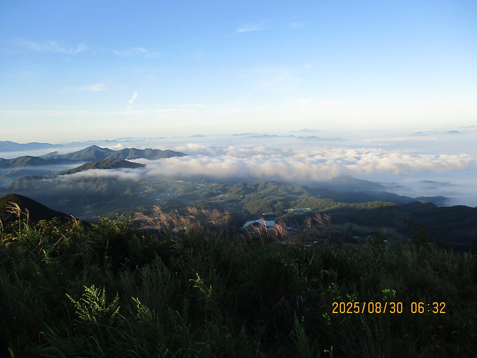 개동산 사진 1