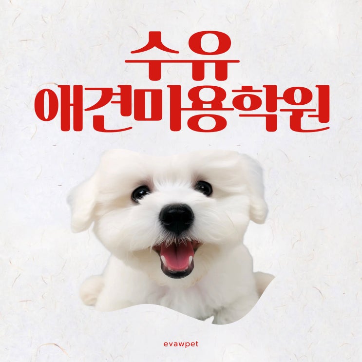  수유애견미용학원, 반려동물 시대! 전문성을 통한 빛나는 미래를 위한 선택 