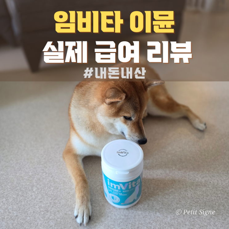 강아지 필수 영양제 추천, 임비타 이뮨 유산균으로 장부터 면역까지