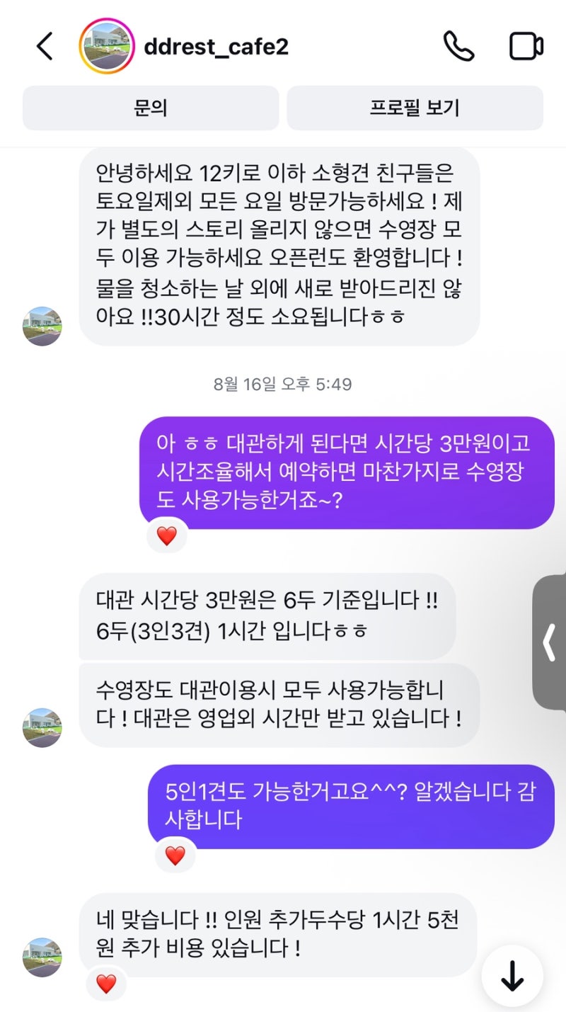 사진 5