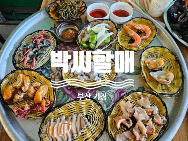 [<b>부산 기장</b>] 반려견동반 <b>부산</b>여행 <b>기장</b>해녀촌 <b>전복</b>죽... 