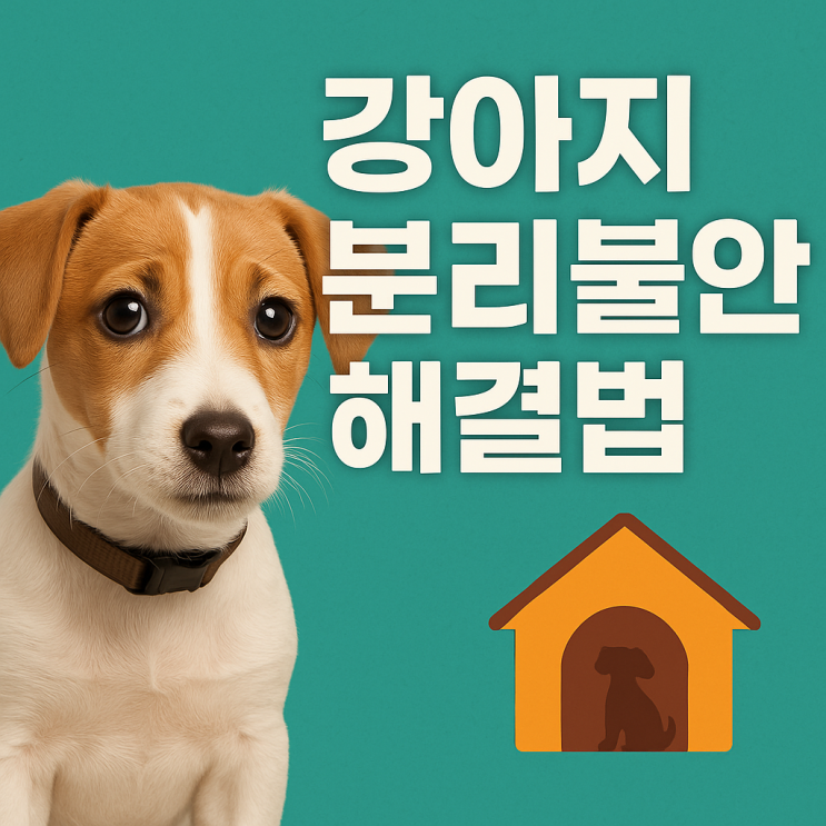  강아지 분리불안 해결법 | 반려견 마음의 안정을 지키는 방법