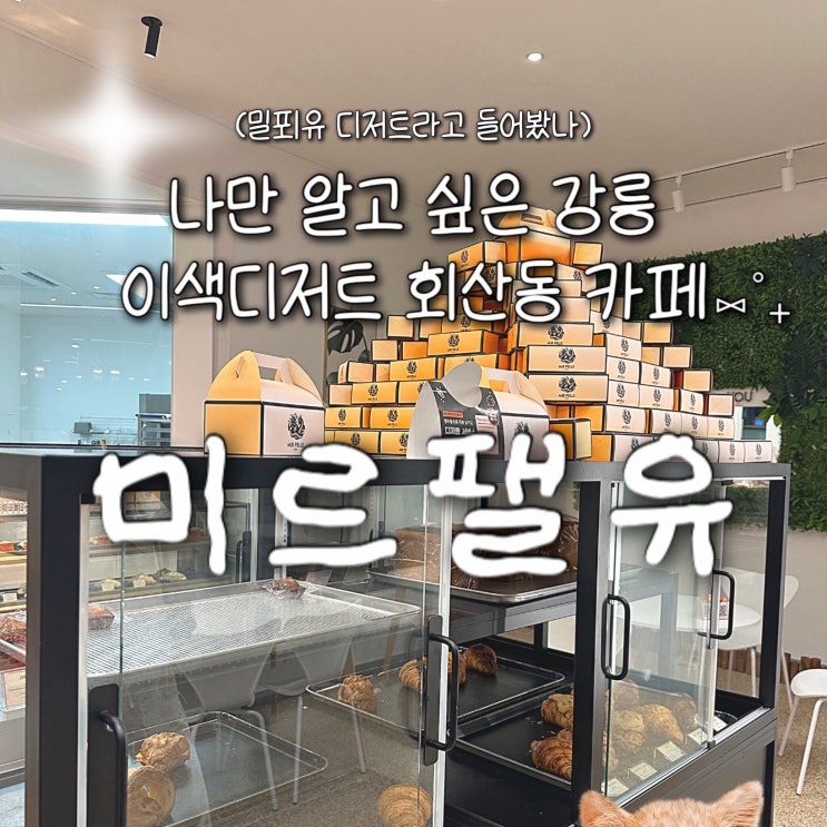  강릉 신상카페 회산동 빵 맛집 발견했어요 '미르팰유'