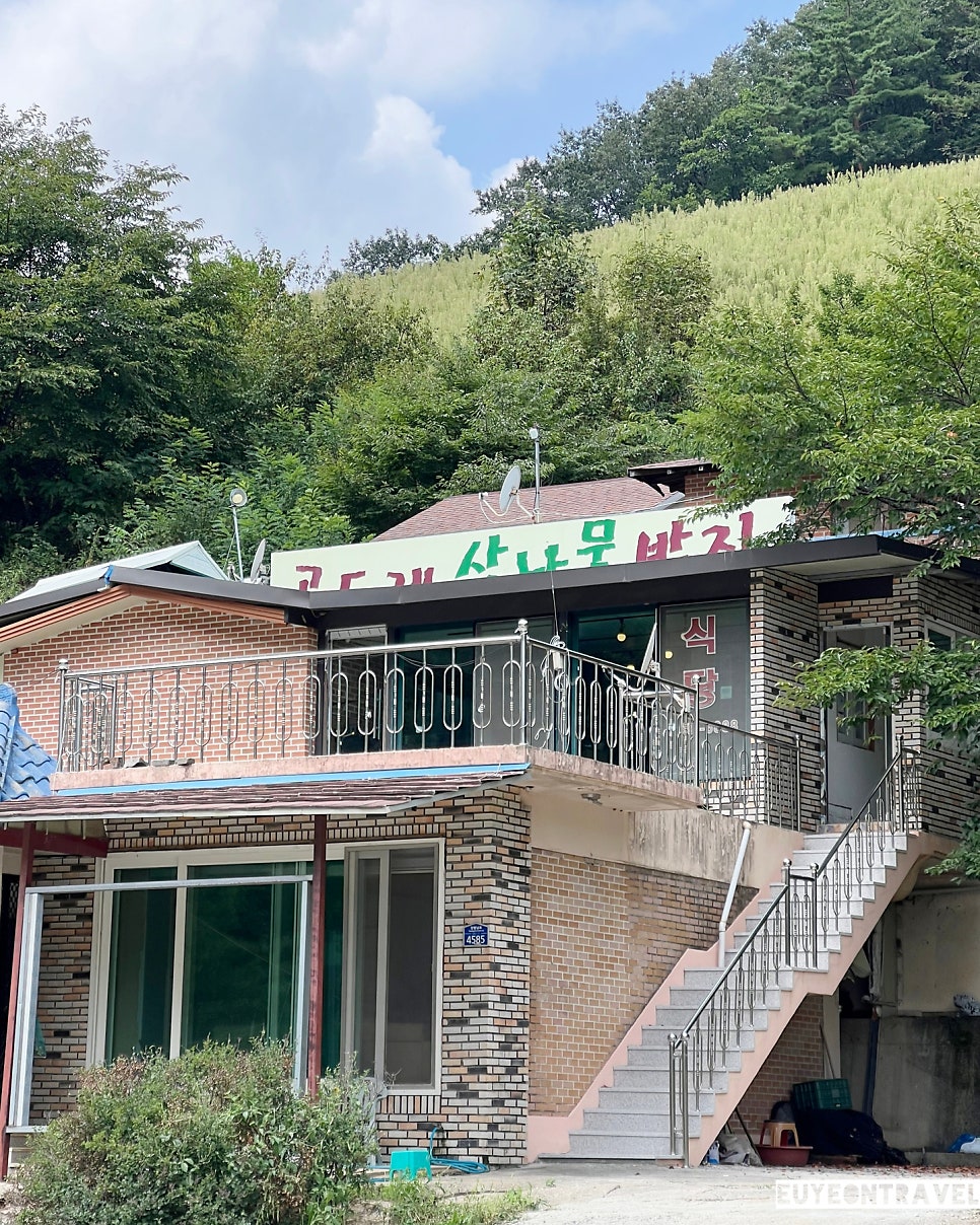 곤드레산나물밥집 사진 2
