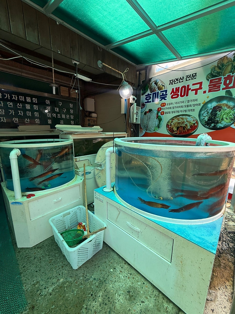 호미곶생아구물회 사진 6