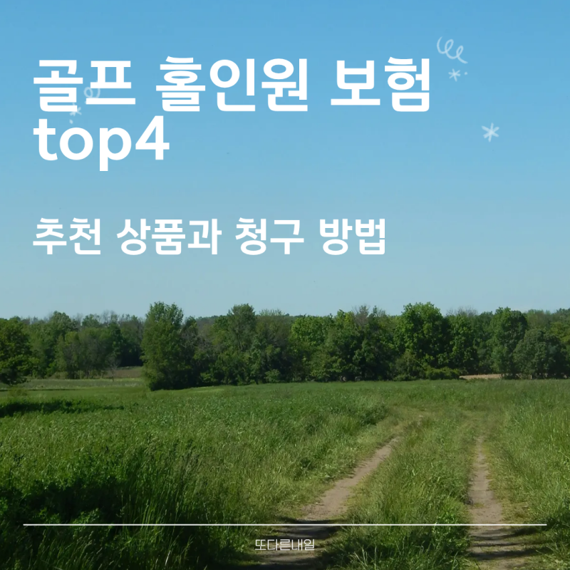 골프 홀인원 보험 TOP 4: 추천 상품과 청구 방법