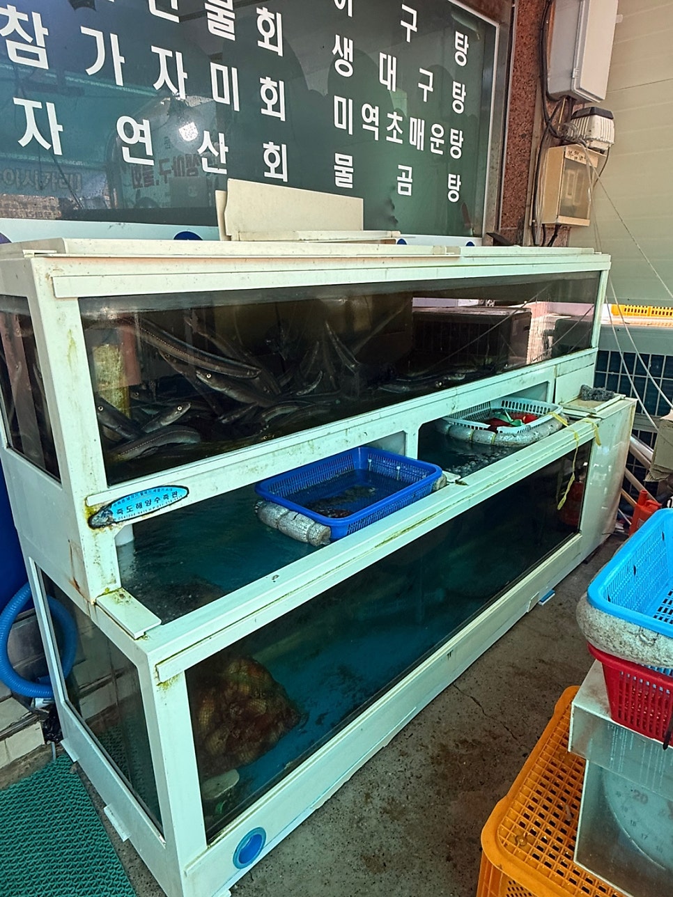 호미곶생아구물회 사진 4