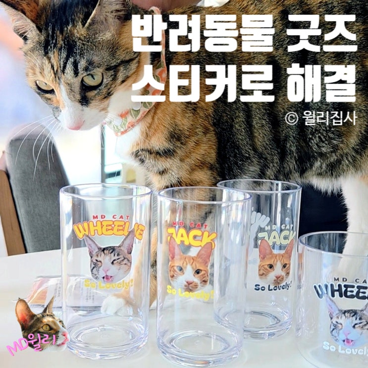  반려동물 소량 굿즈 제작 고양이 강아지 사진 방수 스티커 후기