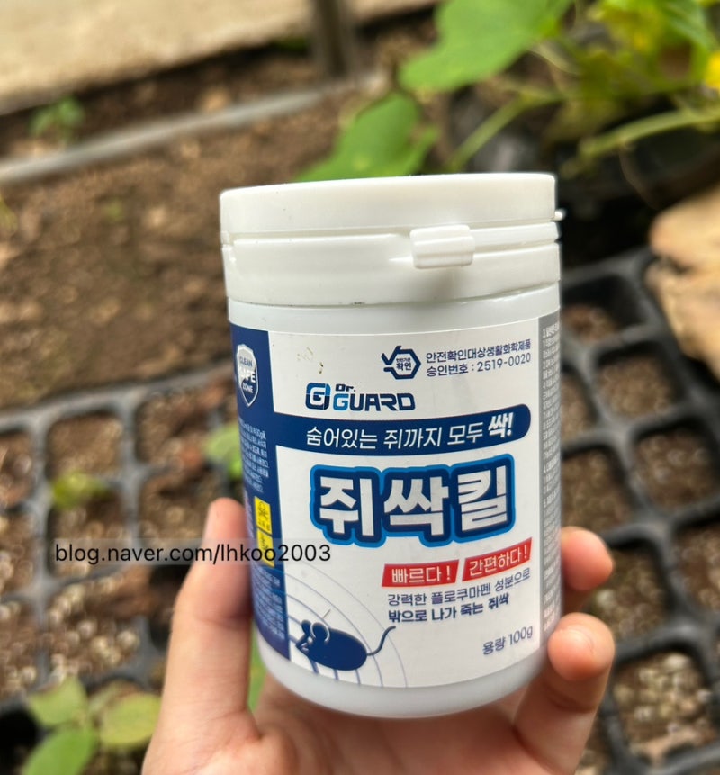 [텃밭 쥐 퇴치 방법 추천] 살서제 쥐싹킬(쥐약) 실제 사용 후기, 효과