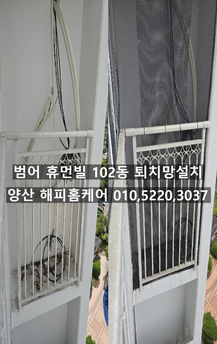 양산비둘기(청소)퇴치망설치 일신건영 휴먼빌 102동 보호되는 베란다