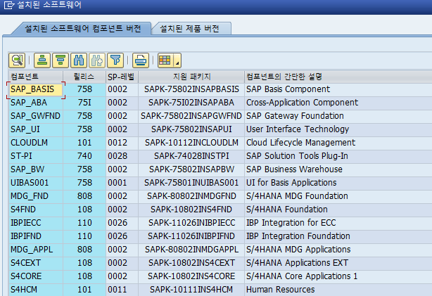  SAP 공통 - SAP Version 확인법