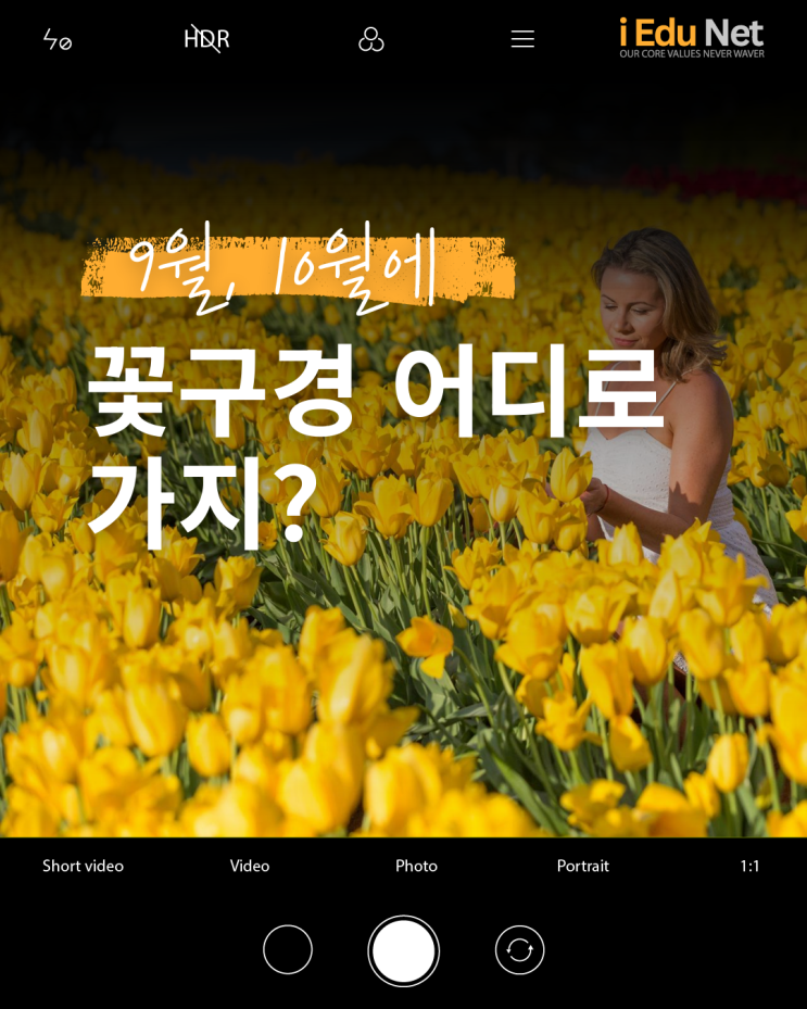  호주에서 꽃 축제 어디로 가지? | 빅토리아주 9월 - 10월 꽃 페스티벌 | 봄맞이 당일치기 벤디고 기차 여행, 벚꽃 축제, 튤립 페스티벌