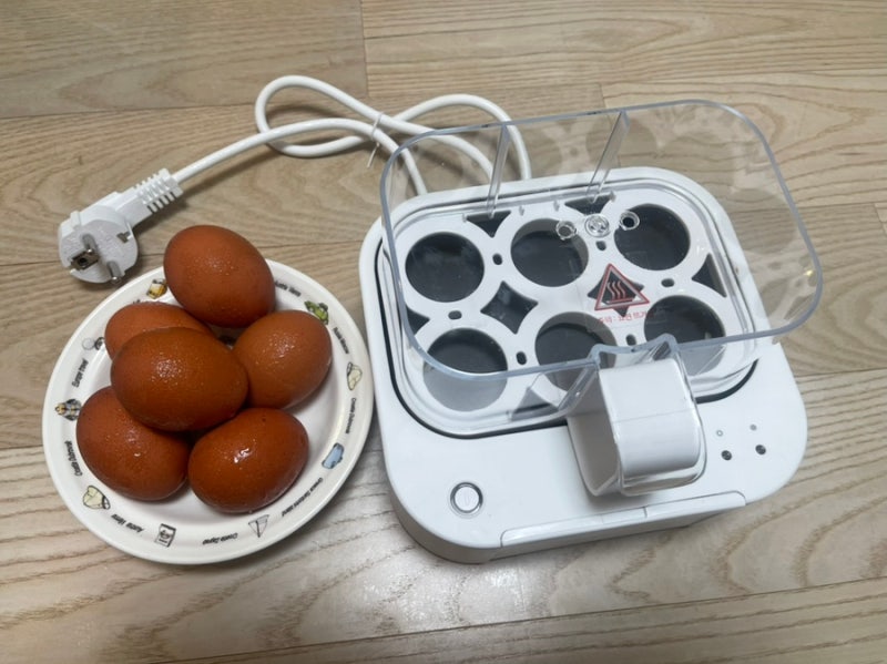 [계란찜기추천] 제니퍼룸 말하는 계란찜기 6구 내돈내산후기 ✨
