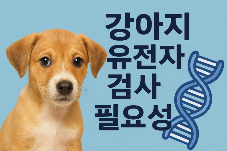  강아지 유전자 검사 필요성 ㅡ 반려견 맞춤 건강관리의 첫걸음