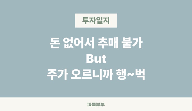  드디어 데이장 열었다 ! 아이렌 IREN 팔란티어 PLTR 주가는?