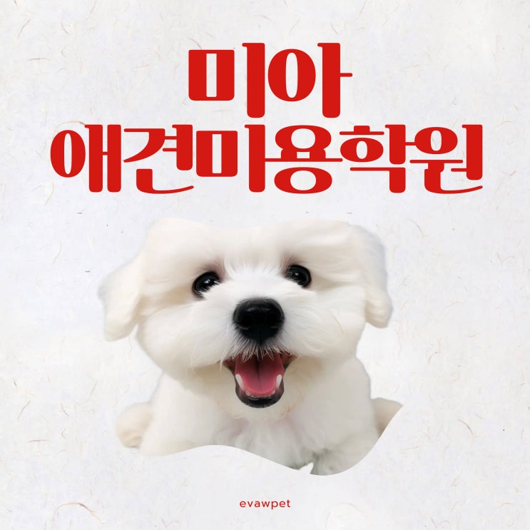  미아애견미용학원,변화하는 반려동물 시대, 전문가의 길로 한걸음