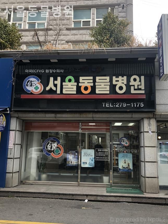 서울동물병원 사진 1