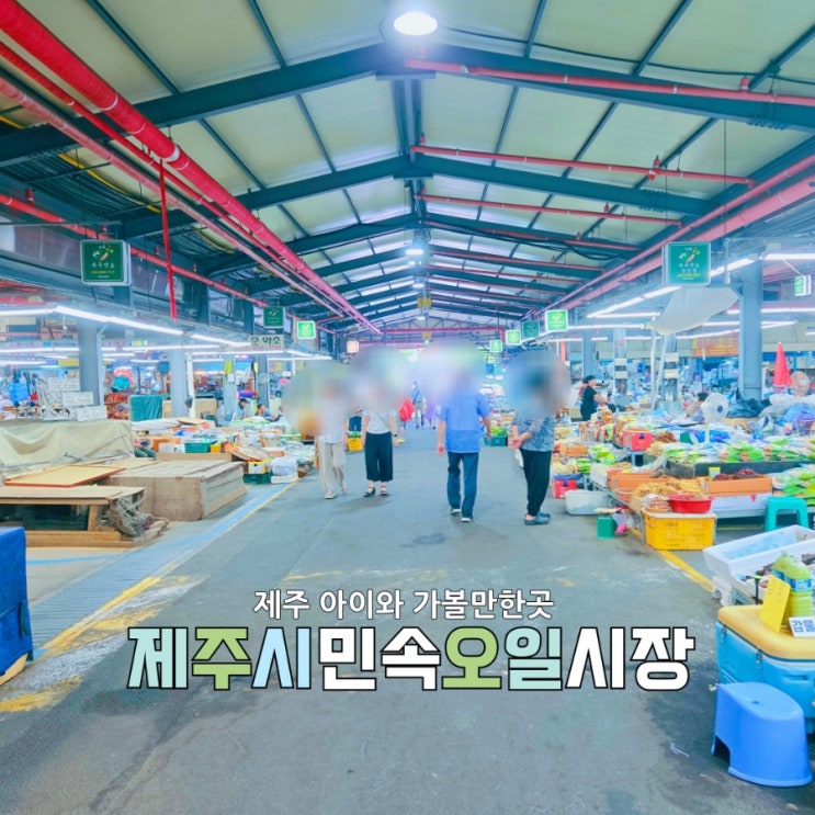  제주시민속오일시장, 아이랑 더 재밌는 제주오일장 나들이